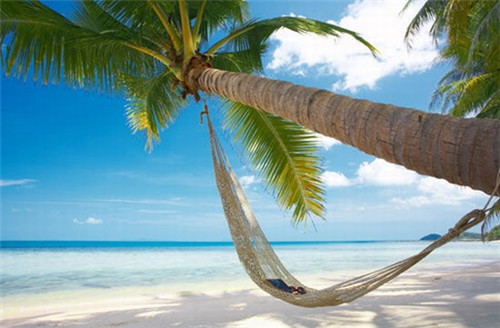 景区智能代步车十大品牌排行榜