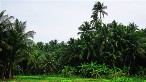 加盟乐艺朵热活烘焙需要投资多少钱，加盟乐艺朵热活烘焙值得吗