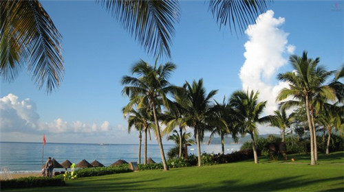 ltduck加盟费是多少