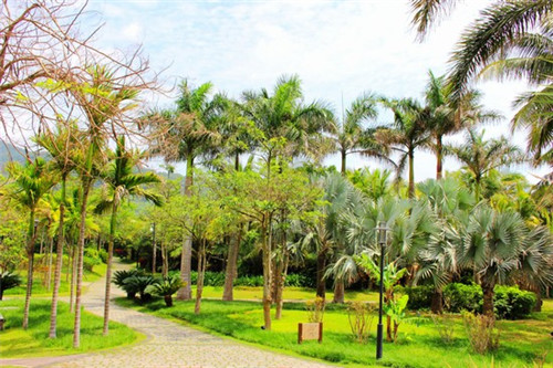 在巴音郭楞州可以开几家包祖包子加盟店