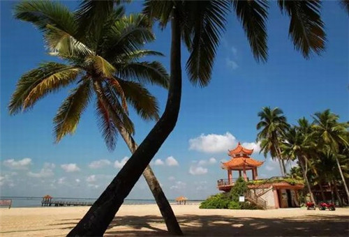 开一家孙氏手擀面加盟店能不能赚钱，加盟孙氏手擀面开店多长时间回本