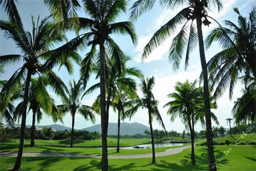 回锅肉怎么炒才不会糊底（回锅肉怎么炒才嫩）