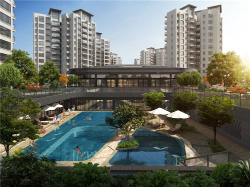 凿壁偷光是什么意思（凿壁偷光是什么意思视频）