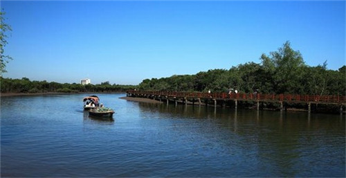 山谷景点打卡软件叫什么（山谷风景）